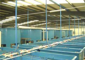 工厂化循环水养殖的发展现状与趋势