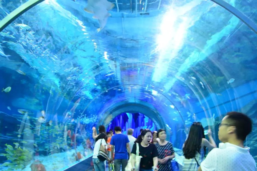 世界水族馆行业市场现状调查趋势分析报告2020-2025年