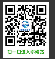 公司官方网站改版正式上线试运行