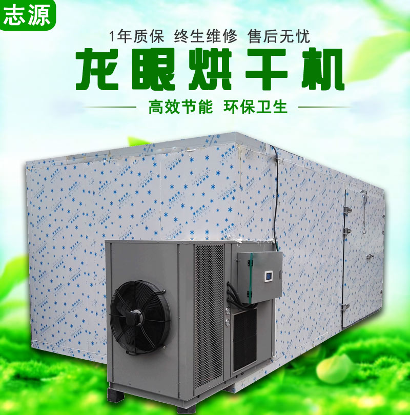 龙眼1 (2)