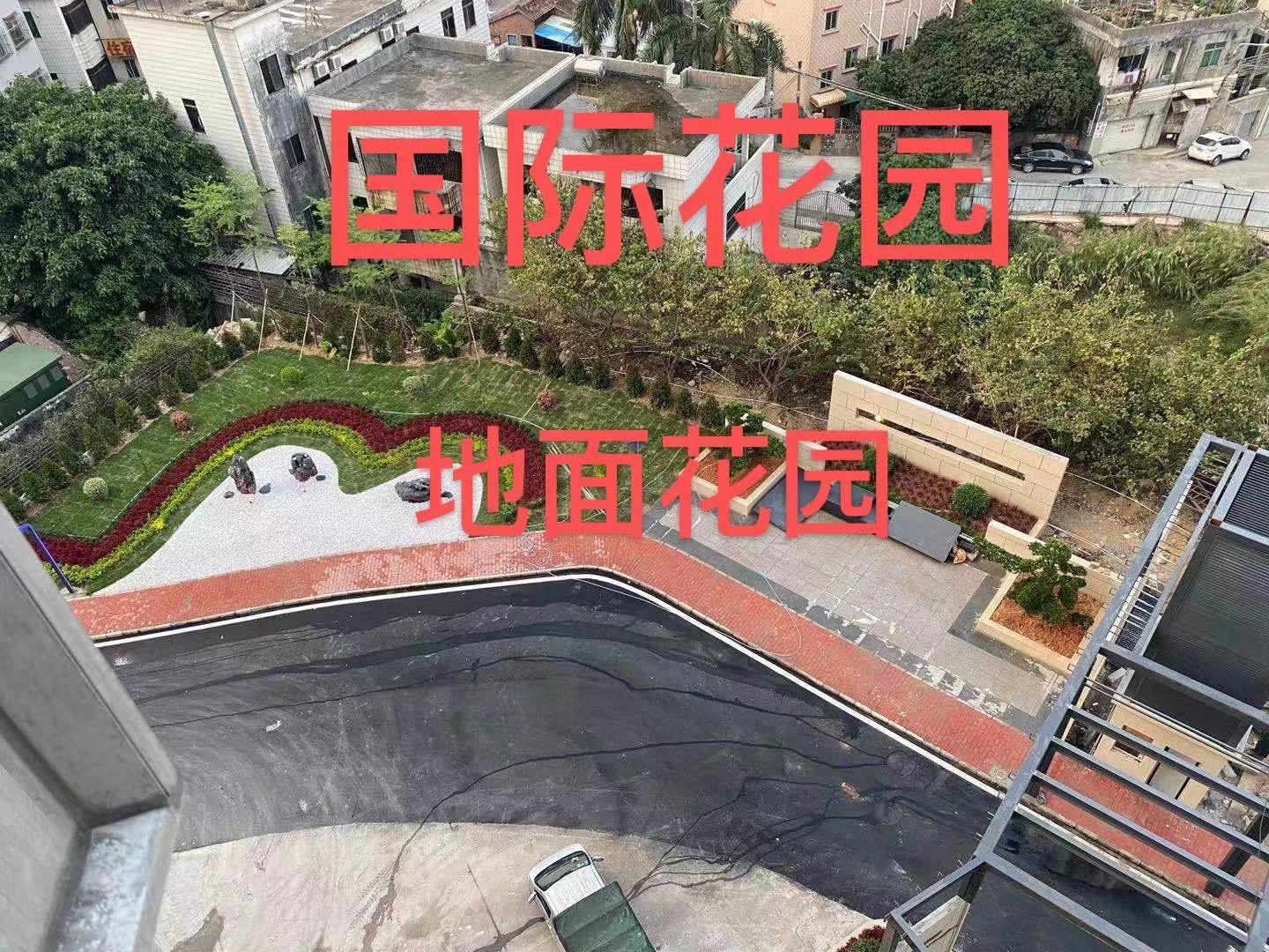 国际花园4
