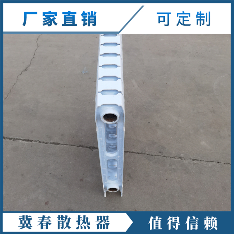 鑄鐵散熱器 (6)