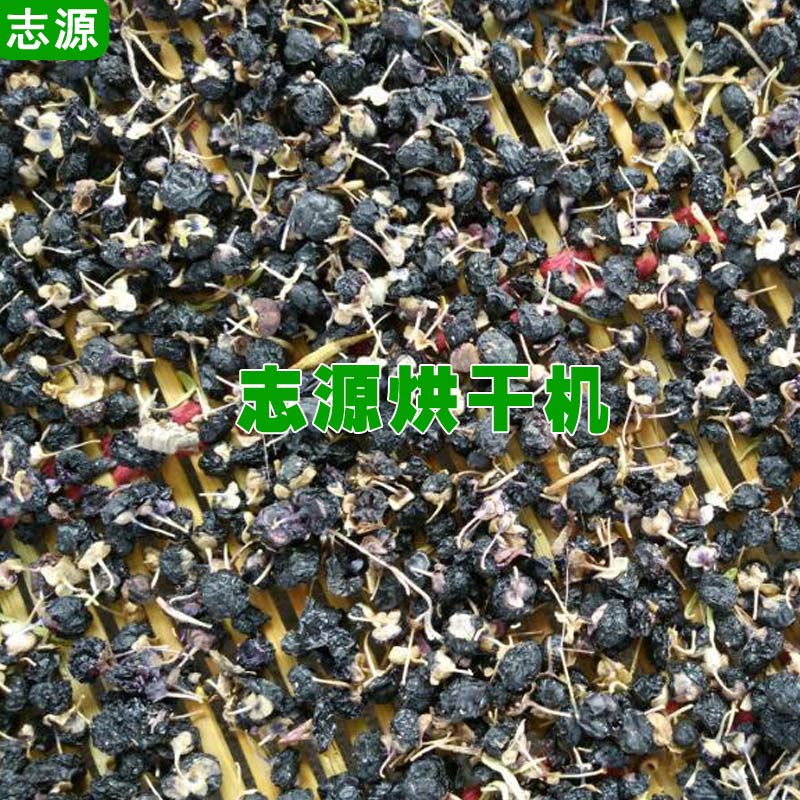 枸杞烘干机1