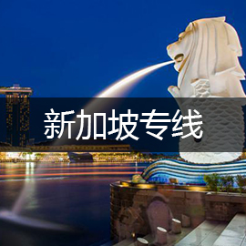 中国到新加坡物流快递