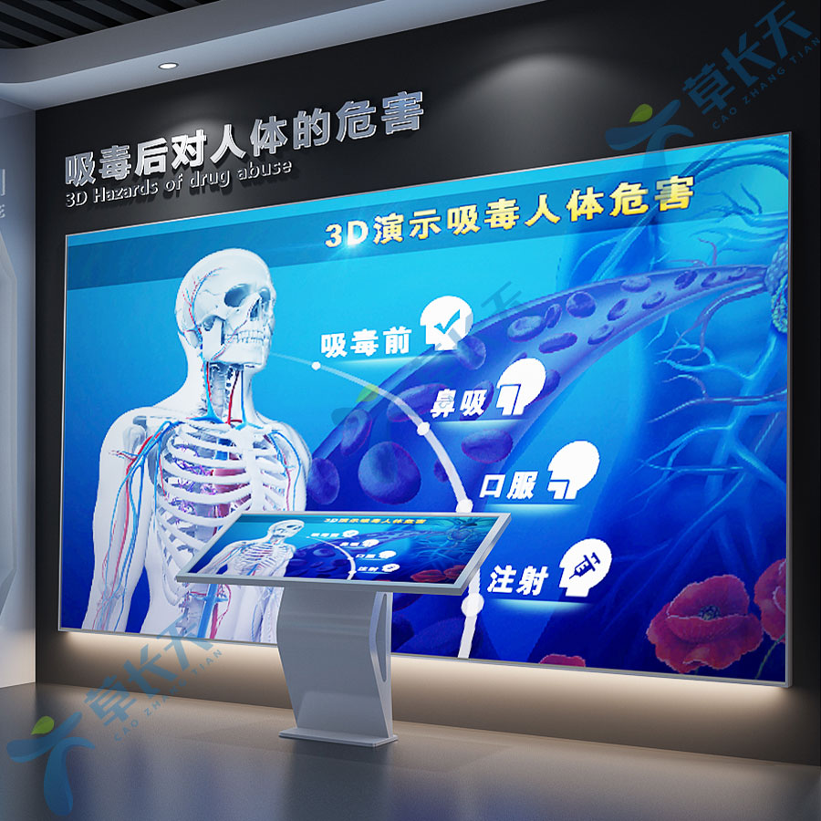 3D演示吸毒對身體的傷害