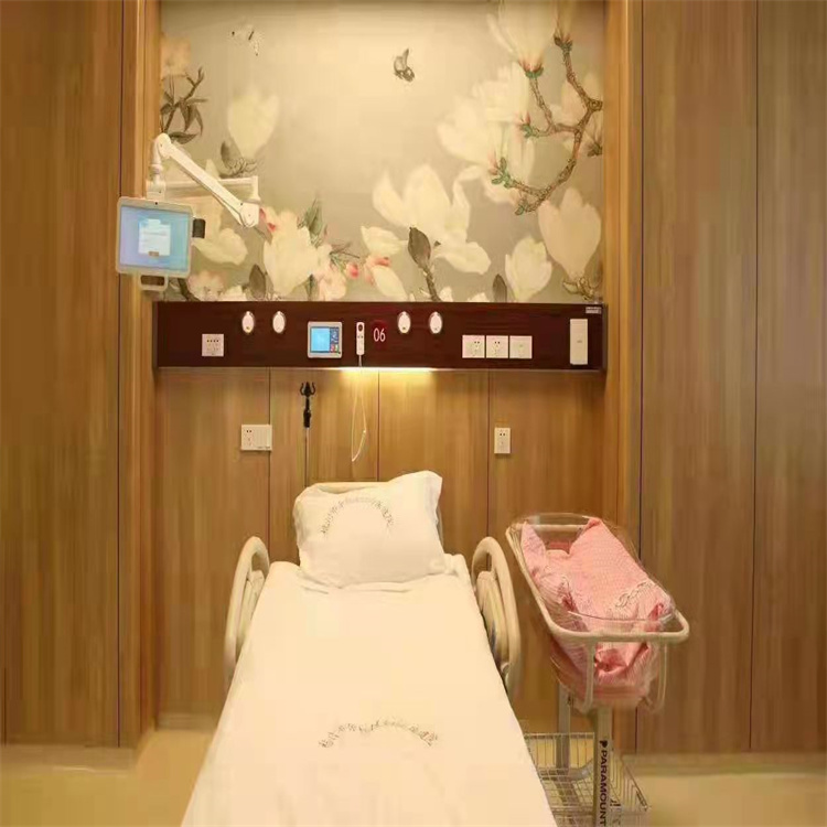 定制壁画高端设备带