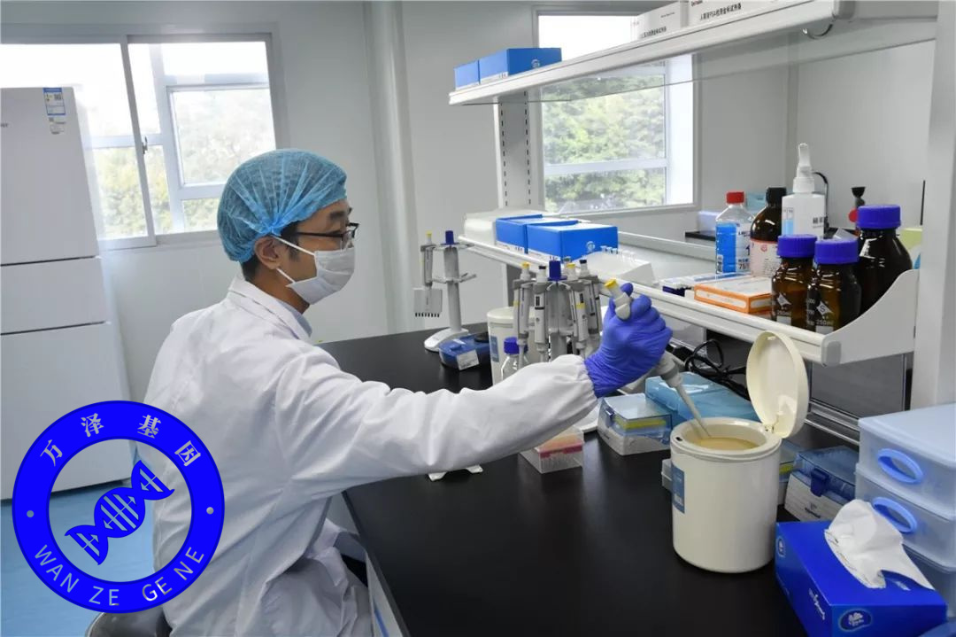 亲子鉴定一般怎么办理？2025年亲子鉴定流程解析