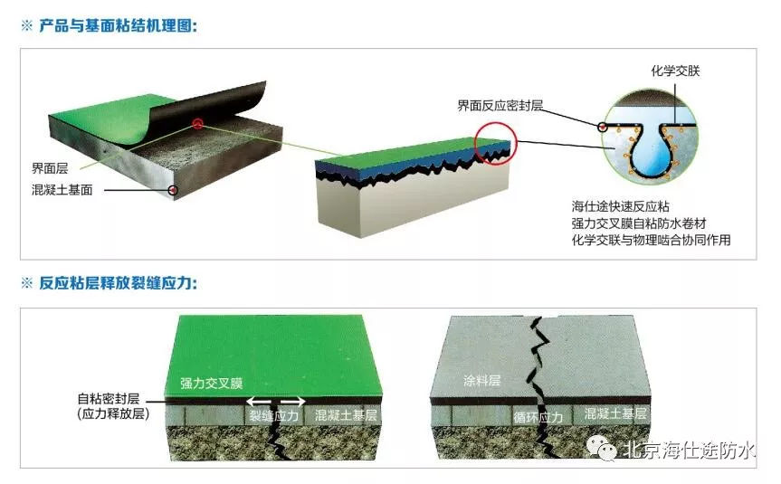 强力交叉膜高分子防水卷材