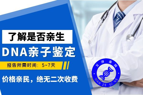 亲子鉴定报告手机上可以查询吗？