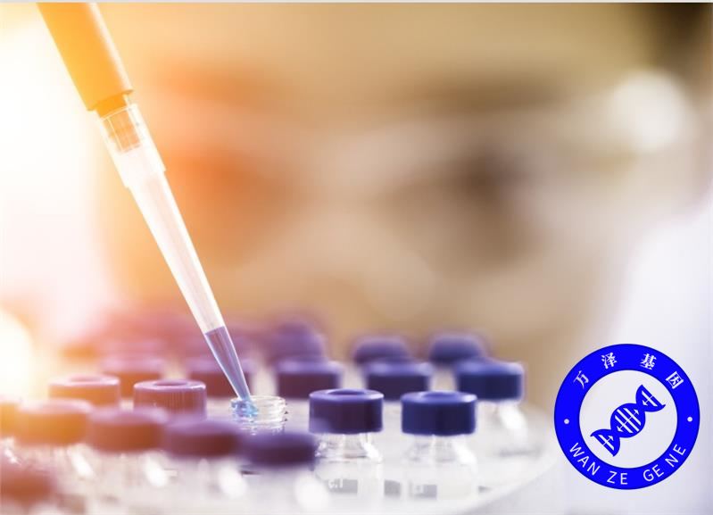 亲子鉴定99.8%是亲生吗?这个数字可能骗了你十年!