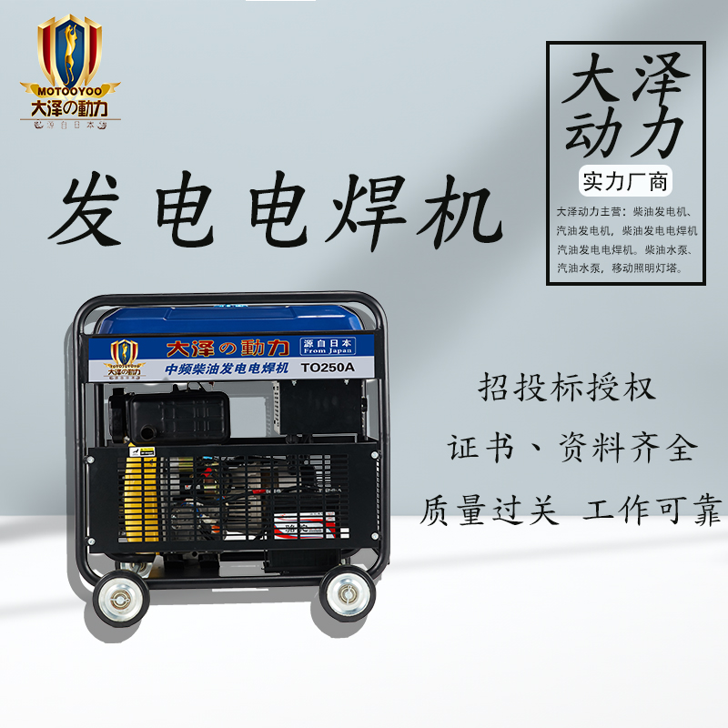 250A发电焊机 (5)