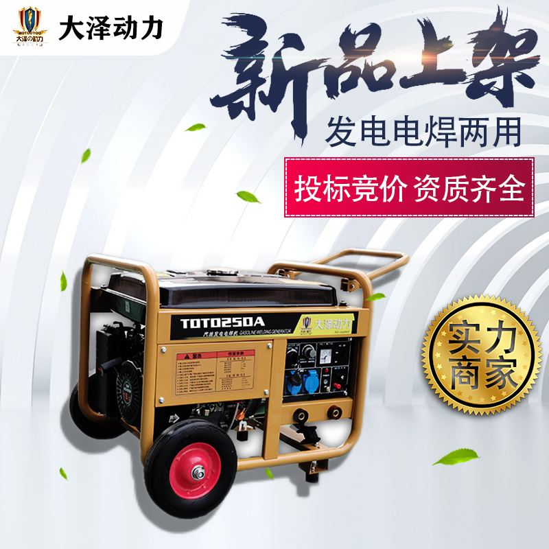 大泽动力TOTO350A  350A发电电焊一体机