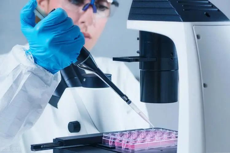 亲子鉴定多少天出结果?2025年亲子鉴定出结果时间大公开!