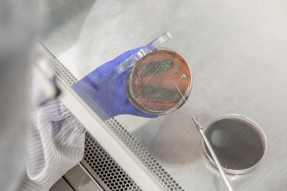 食品加工过程微生物监控