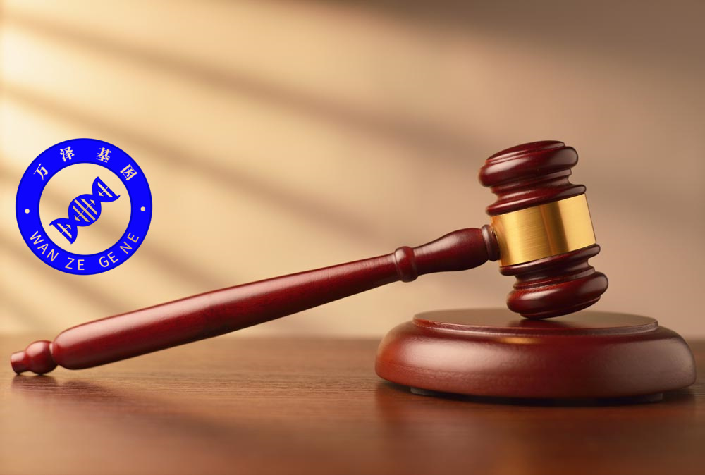 梅州司法亲子鉴定中心-鉴定结果复核三次