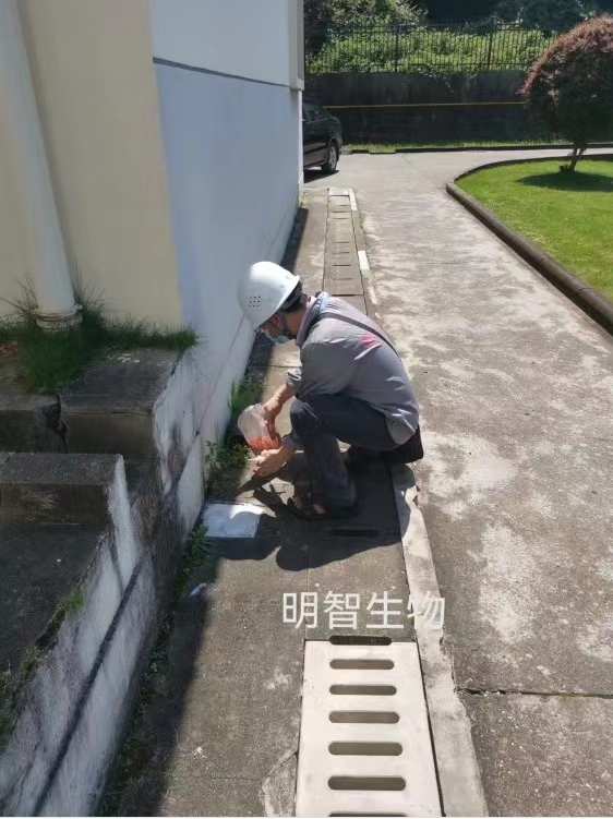 灭老鼠