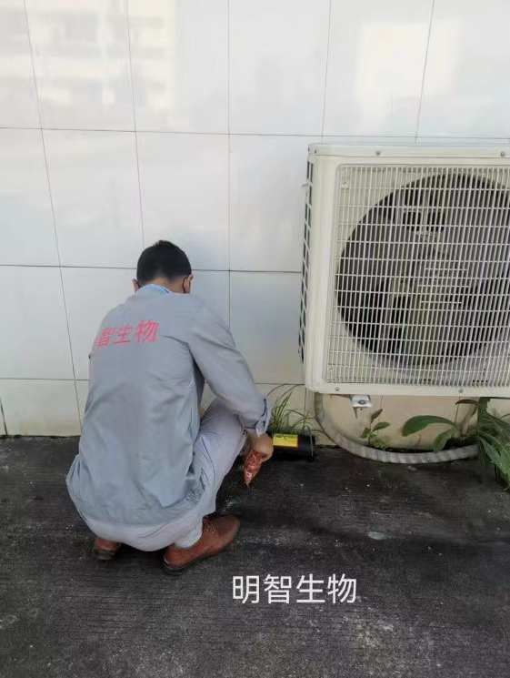 湖南灭鼠公司