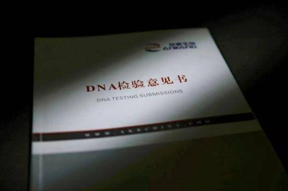 亲子鉴定怎么做？上户口、公证必看！保姆级攻略