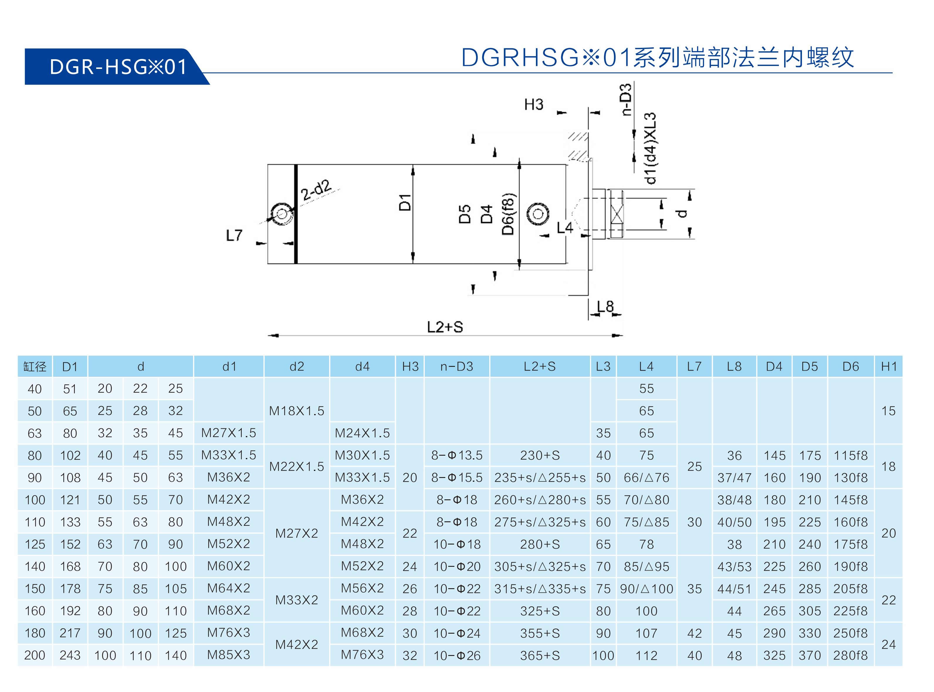 DGR-HSG-01系列-端部法兰内螺纹