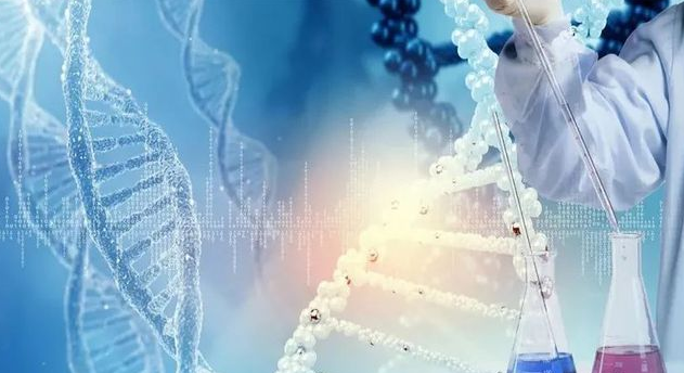 梅州做的个人亲子鉴定是不具有司法效力的 