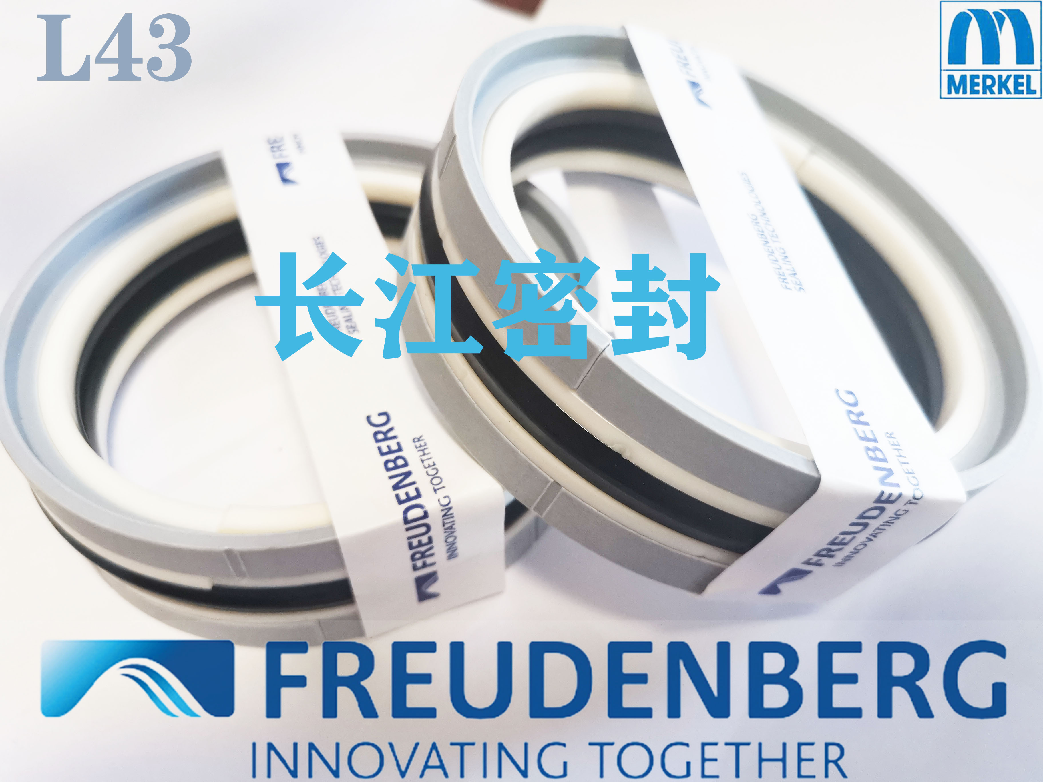 德国进口组合油封MERKEL FREUDENBERG L43