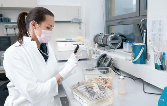 2025年国家认可的亲子鉴定机构有哪些?