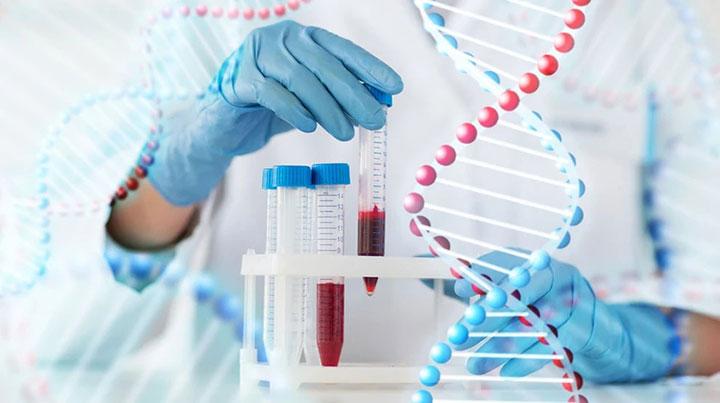 怀孕之后多久能做亲子鉴定?