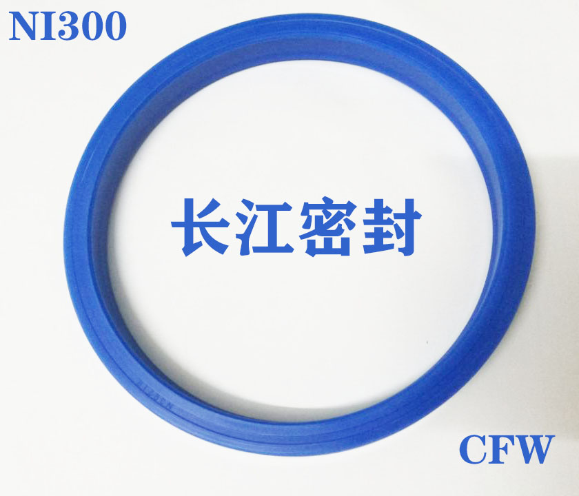 进口CFW活塞杆密封件NI300