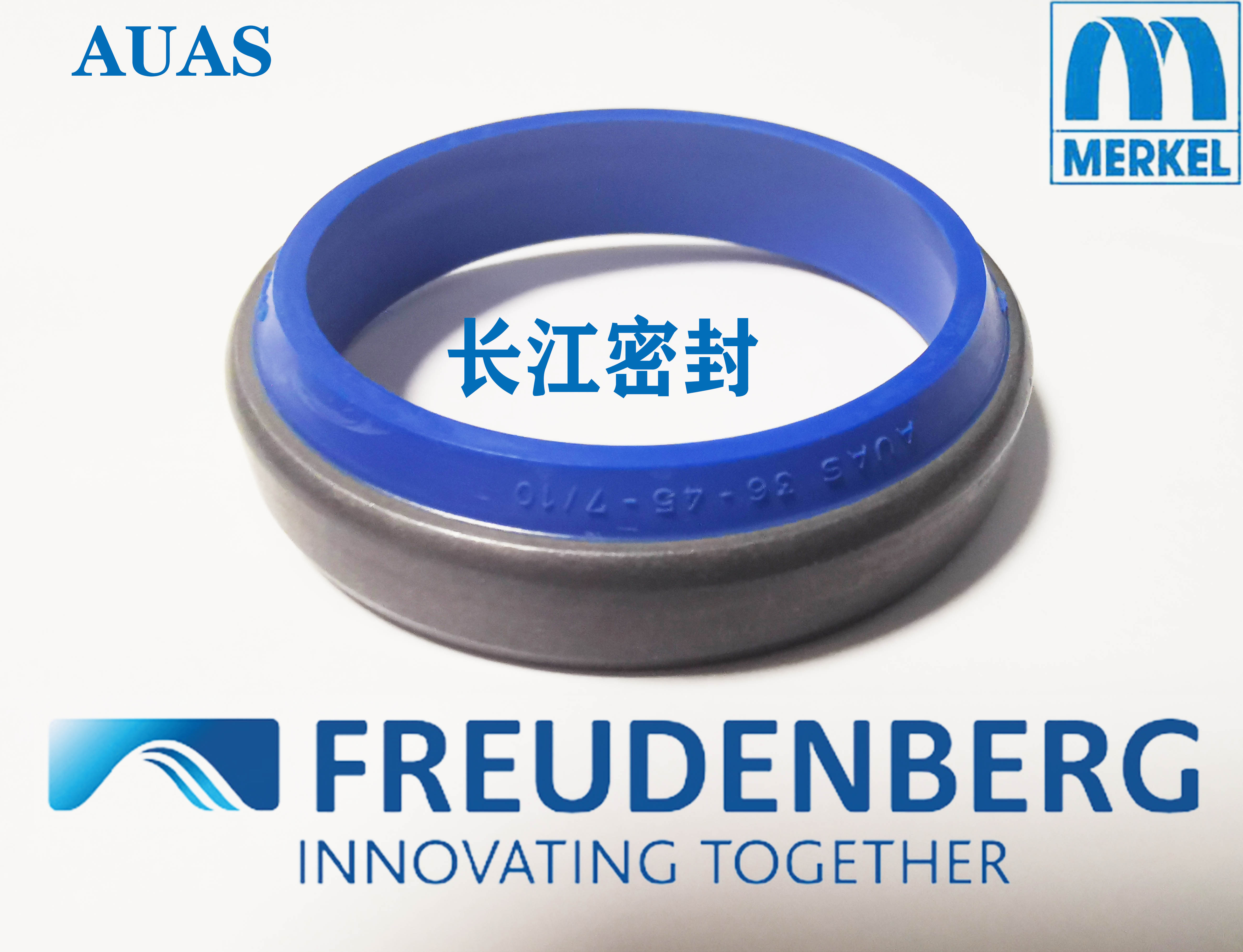 AUAS 50-60-7/10 30-40-7/10德国CFW 骨架防尘圈FREUDENBERG