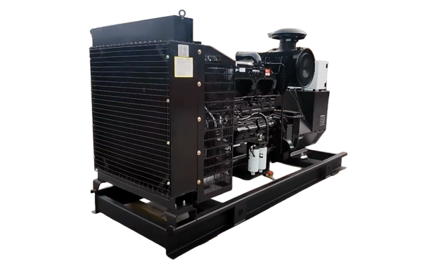 NT855-GA康明斯柴油发电机组220KW（5）