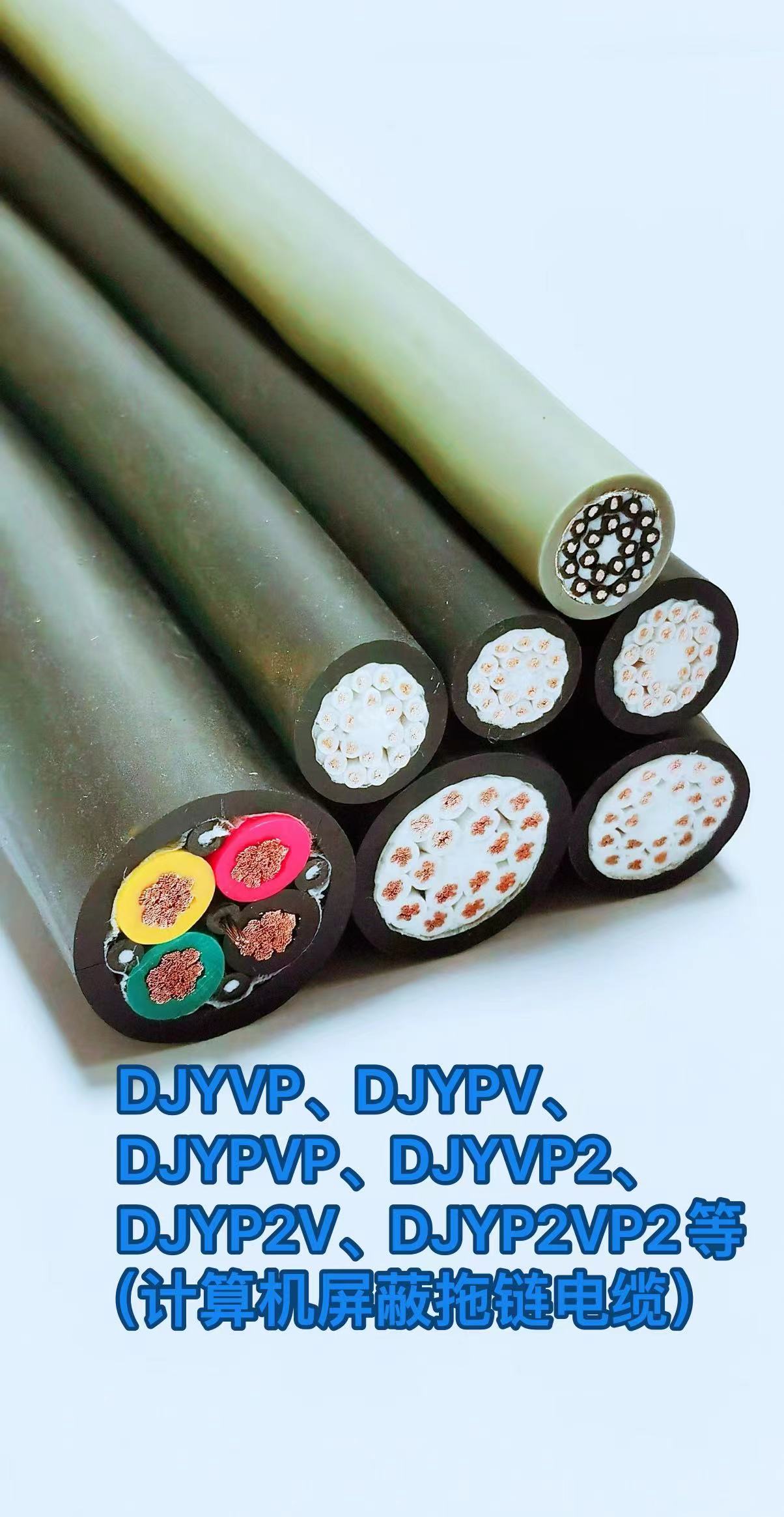 DJYVP、DJYPV.DJYPVP、DJYVP2、DJYP2V、DJYP2VP2等(计算机屏蔽拖链电缆)