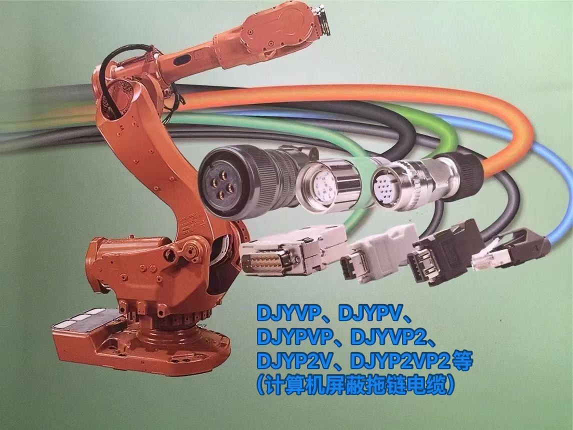 DJYVP、DJYPV.DJYPVP、DJYVP2、DJYP2V、DJYP2VP2等(计算机屏蔽拖链电缆)-3