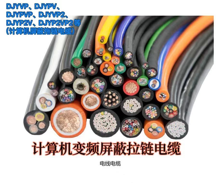 DJYVP、DJYPV.DJYPVP、DJYVP2、DJYP2V、DJYP2VP2等(计算机屏蔽拖链电缆)-4