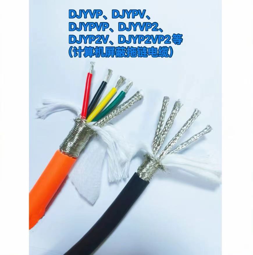 DJYVP、DJYPV.DJYPVP、DJYVP2、DJYP2V、DJYP2VP2等(计算机屏蔽拖链电缆)-5