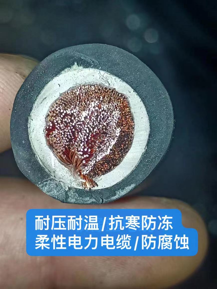 微信图片_20240905090135