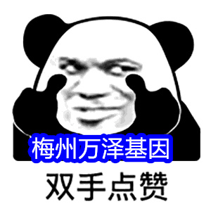 个人亲子鉴定的意义 