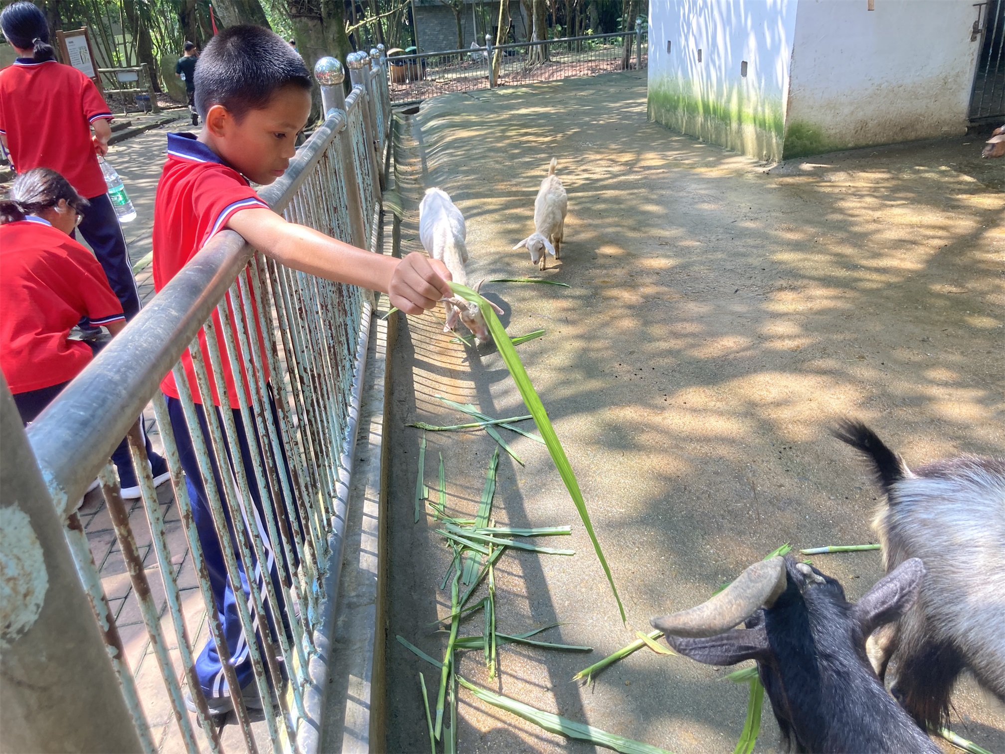 揭阳学生厌学学校联系电话