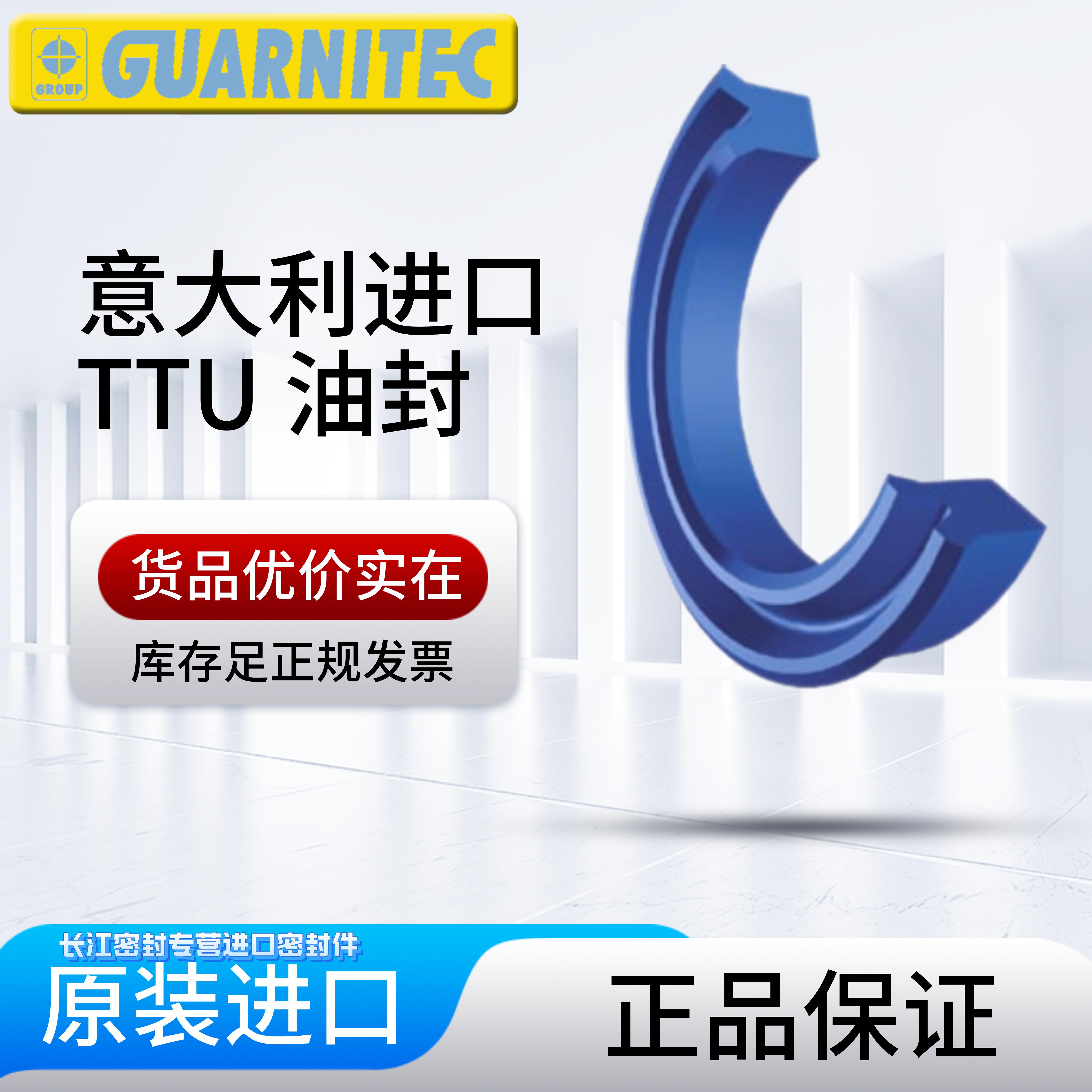 TECNOLAN TTU TRU TTW TTD意大利原装进口油封