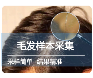 亲子鉴定头发需要几根？