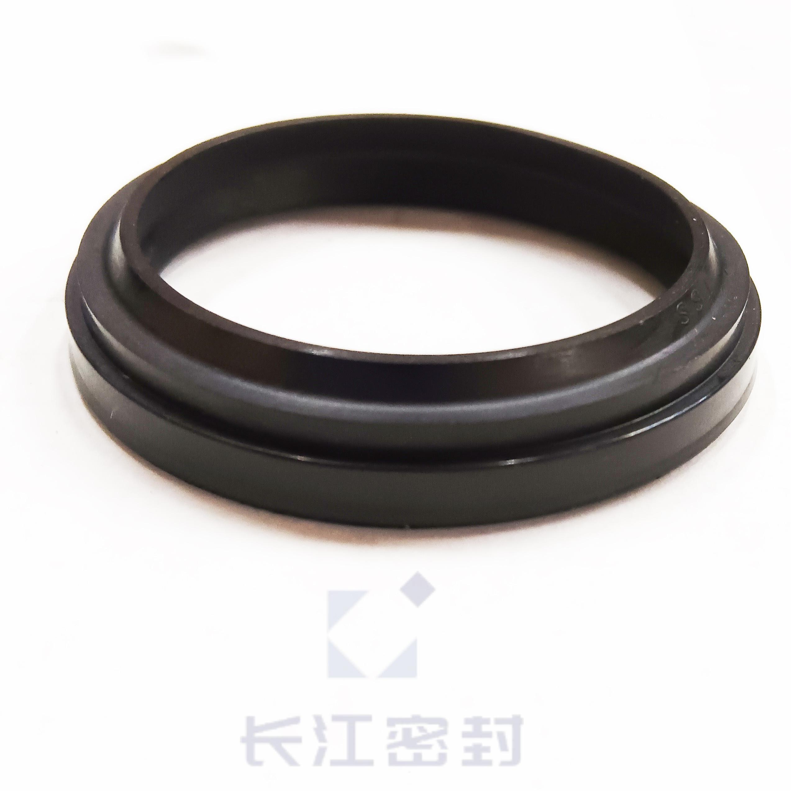 WD1700360-N9瑞典特瑞堡TSS SSI进口防尘圈 DAS组合油封TSSI DAS 65-50 125 100 140-115