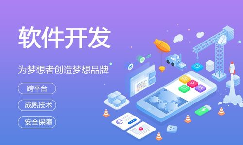 软件开发.png