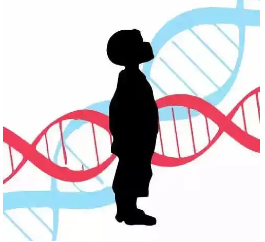 做一次普通亲子鉴定的费用（2025年亲子鉴定收费汇总）