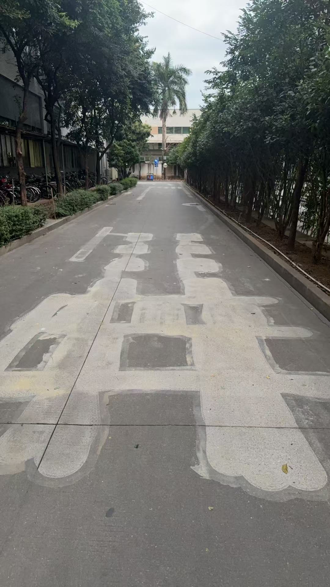 微信图片_20250327223129