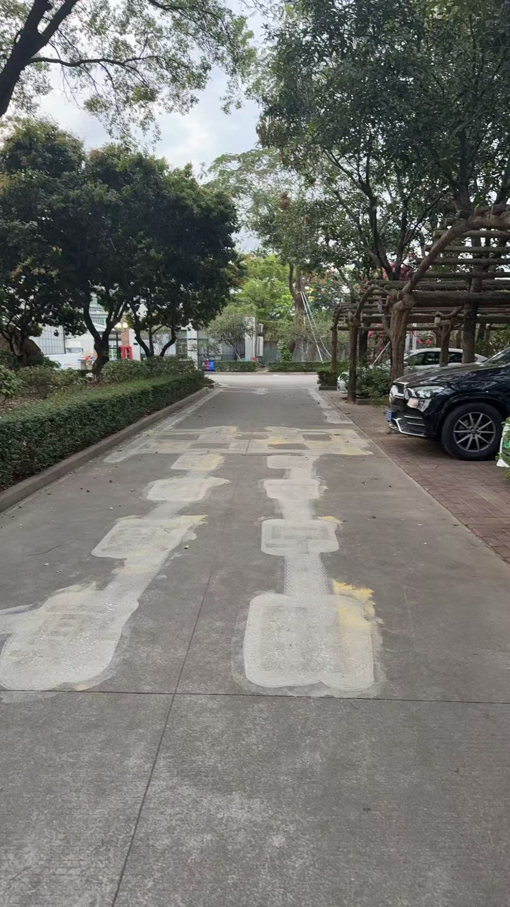 微信图片_20250327223119