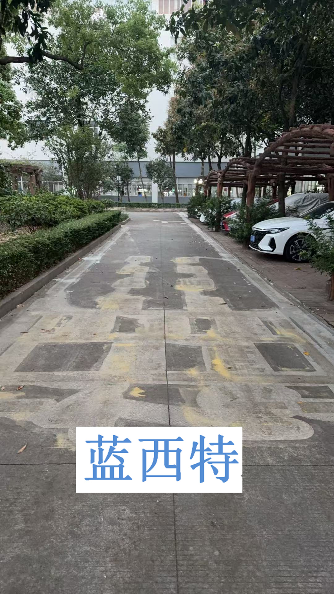 微信图片_20250327223127