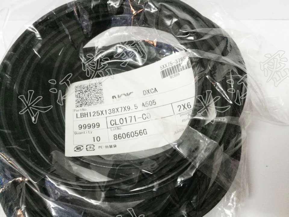 NOK LBH-125 CL0171CO CL0199C1日本防尘圈