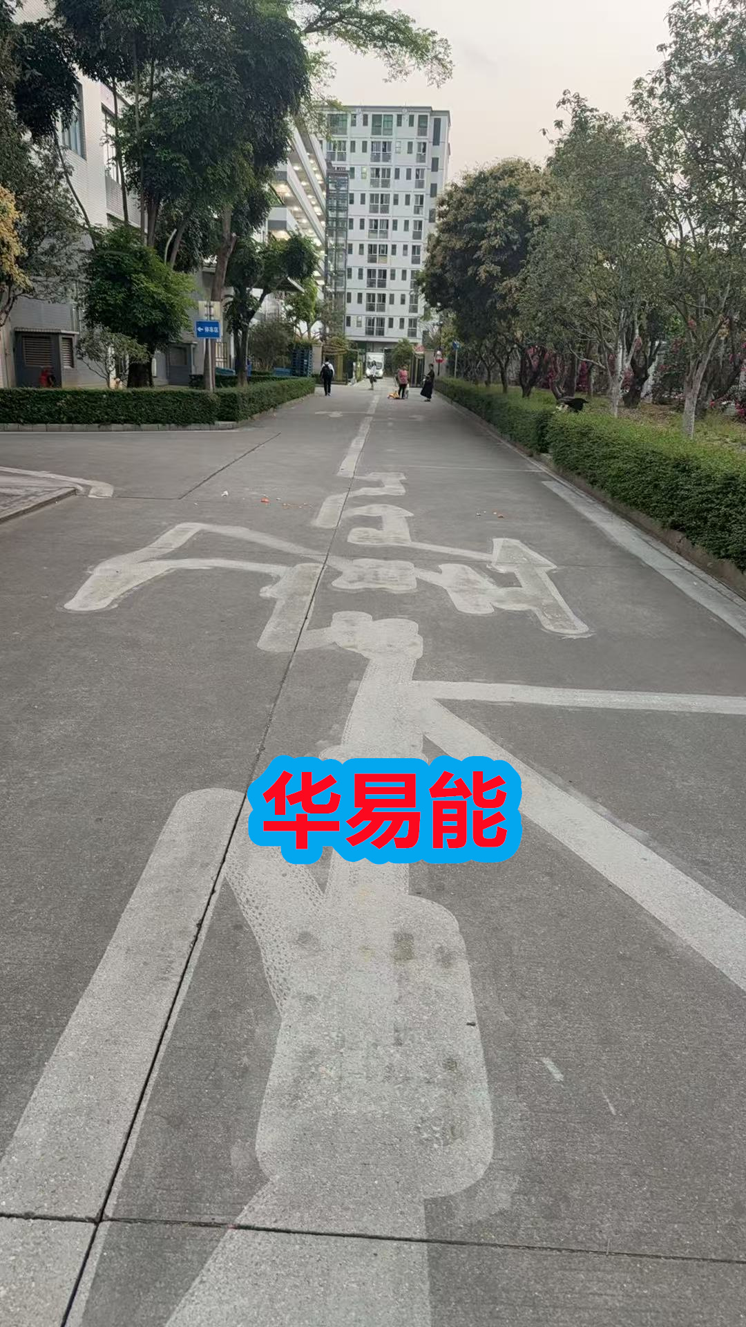 003652 (30)