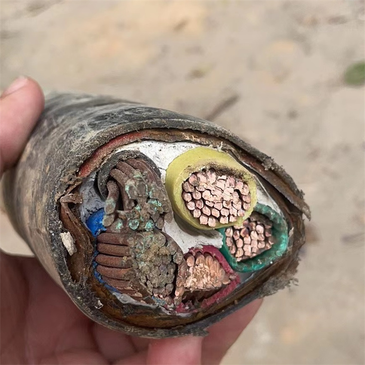 茂名电缆回收厂家