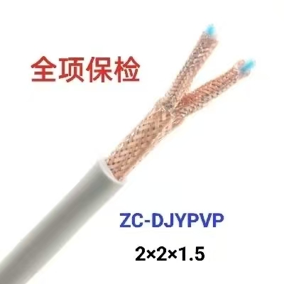 ZC-DJYPVP2x2x1.5 阻燃型计算机电缆