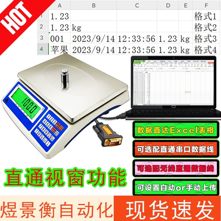 带RS232串口通讯电子秤